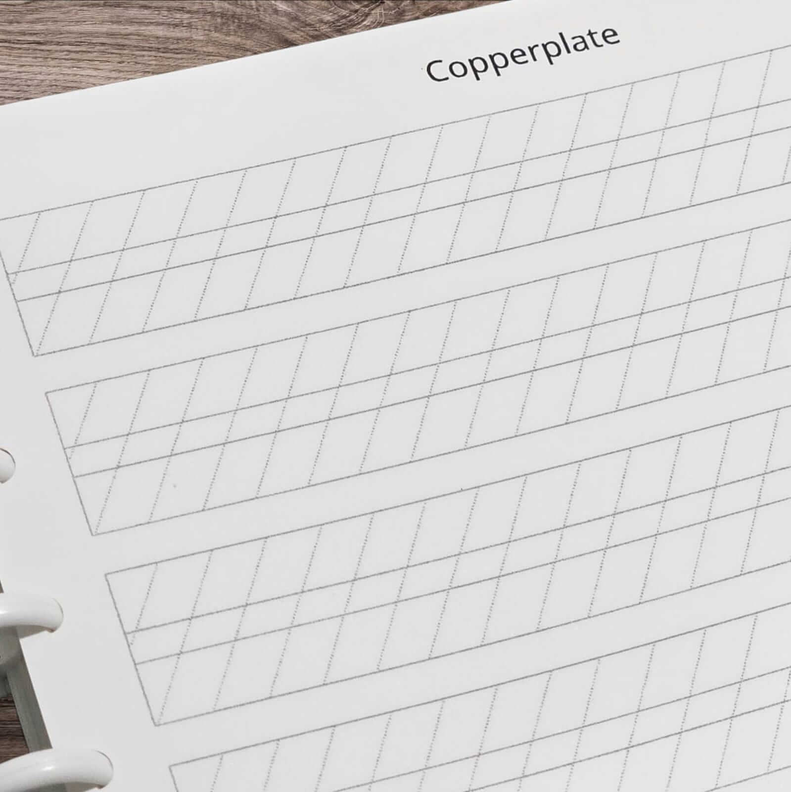 Portfólio para Caligrafia Artística (sistema de discos) - Imagem 4