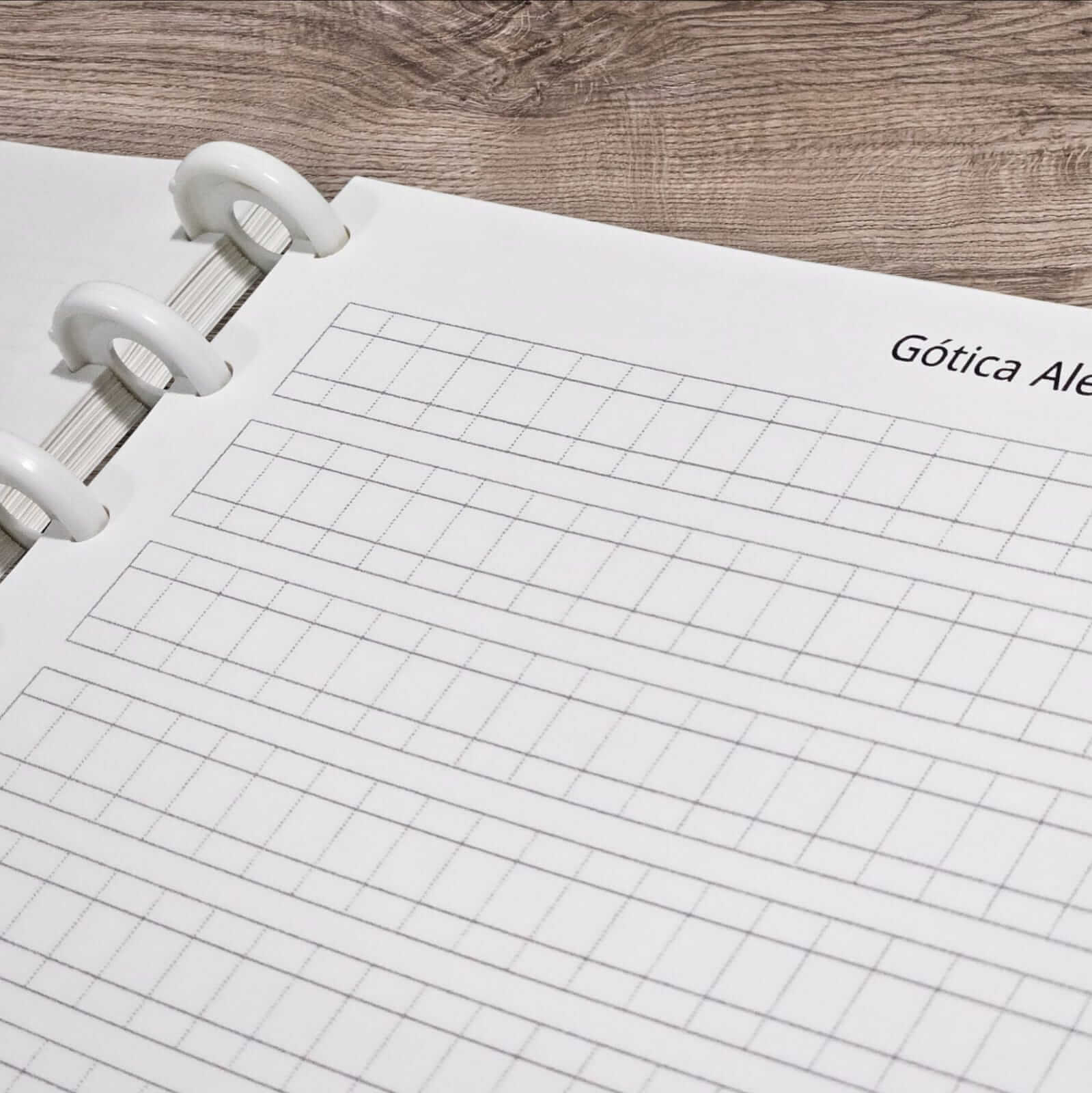 Portfólio para Caligrafia Artística (sistema de discos) - Imagem 3