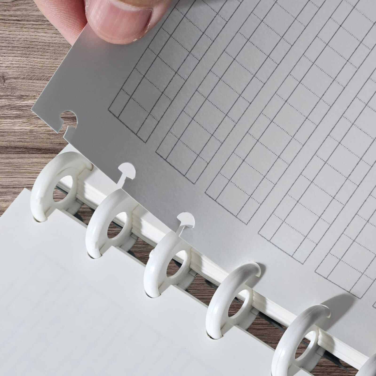 Portfólio para Caligrafia Artística (sistema de discos) - Imagem 2